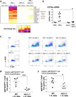 IgM Antibody in Flow Cytometry (Flow)