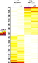 IgM Antibody in Flow Cytometry (Flow)