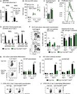 IgM Antibody in Flow Cytometry (Flow)