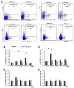 CD69 Antibody in Flow Cytometry (Flow)