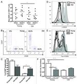 CD8 Antibody in Flow Cytometry (Flow)