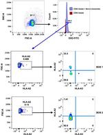 HLA-A3 Antibody in Flow Cytometry (Flow)