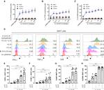 CD69 Antibody in Flow Cytometry (Flow)