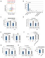 CD39 Antibody in Flow Cytometry (Flow)