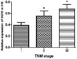 EGFR Antibody in Immunohistochemistry (IHC)