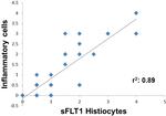 VEGF Receptor 1 (soluble) Antibody in Immunohistochemistry (IHC)