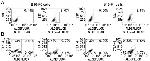 CD152 (CTLA-4) Antibody in Flow Cytometry (Flow)