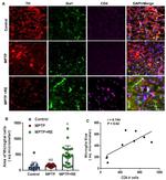 CD4 Antibody in Immunohistochemistry (IHC)