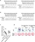 IL-13 Antibody in Neutralization (Neu)