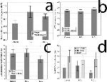 Calprotectin Antibody in Immunohistochemistry (IHC)