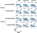 CD8 Antibody in Flow Cytometry (Flow)