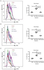 Phospho-NFkB p65 (Ser536) Antibody in Flow Cytometry (Flow)