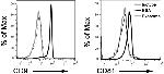 CD81 Antibody in Flow Cytometry (Flow)