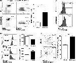 CD127 Antibody in Flow Cytometry (Flow)