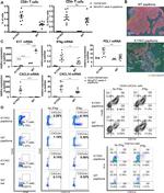 Cytokeratin 14 Antibody in Flow Cytometry (Flow)