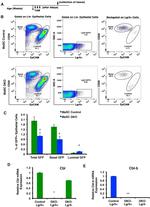 CD326 (EpCAM) Antibody in Flow Cytometry (Flow)