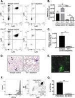 Ly-6C Antibody in Flow Cytometry (Flow)