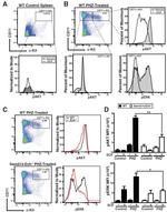 TER-119 Antibody in Flow Cytometry (Flow)