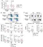 CD4 Antibody in Flow Cytometry (Flow)