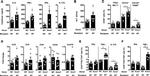 IFN gamma Antibody in ELISA (ELISA)