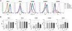 CD45 Antibody in Flow Cytometry (Flow)