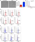 CD47 Antibody in Flow Cytometry (Flow)