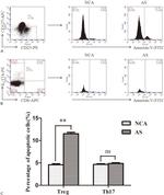 CD25 Antibody in Flow Cytometry (Flow)