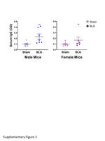 IgE Antibody in ELISA (ELISA)