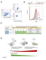 CD86 (B7-2) Antibody in Flow Cytometry (Flow)