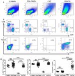 CD4 Antibody in Flow Cytometry (Flow)