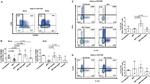 IL-17A Antibody in Flow Cytometry (Flow)