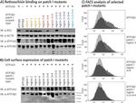 ATP1B2 Antibody in Flow Cytometry (Flow)