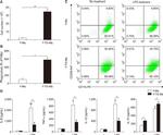 F4/80 Antibody in Flow Cytometry (Flow)