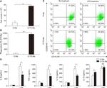 F4/80 Antibody in Flow Cytometry (Flow)