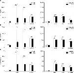 IL-1 beta Antibody in ELISA (ELISA)