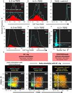 Gata-3 Antibody in Flow Cytometry (Flow)