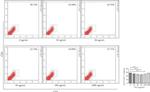 CD3 Antibody in Flow Cytometry (Flow)