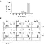 CD71 (Transferrin Receptor) Antibody in Flow Cytometry (Flow)