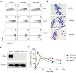 CD235a (Glycophorin A) Antibody in Flow Cytometry (Flow)