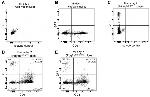 CD31 (PECAM-1) Antibody in Flow Cytometry (Flow)