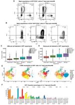 CD31 (PECAM-1) Antibody in Flow Cytometry (Flow)