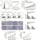 CD4 Antibody in Flow Cytometry (Flow)