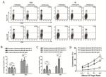 CD8a Antibody in Flow Cytometry (Flow)