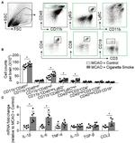 CD45 Antibody in Flow Cytometry (Flow)