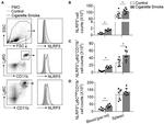 CD11b Antibody in Flow Cytometry (Flow)