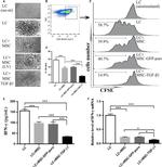 CD3e Antibody in Flow Cytometry (Flow)