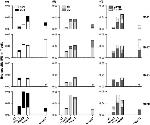 CD8 Antibody in Flow Cytometry (Flow)