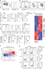 CD103 (Integrin alpha E) Antibody in Flow Cytometry (Flow)