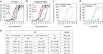 6x-His Tag Antibody in ELISA (ELISA)