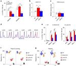 CD3e Antibody in Flow Cytometry (Flow)